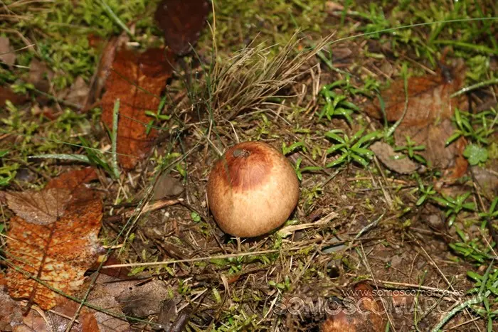 deVilamartín a Arnado pasando por Correxais e Fervenza (2)