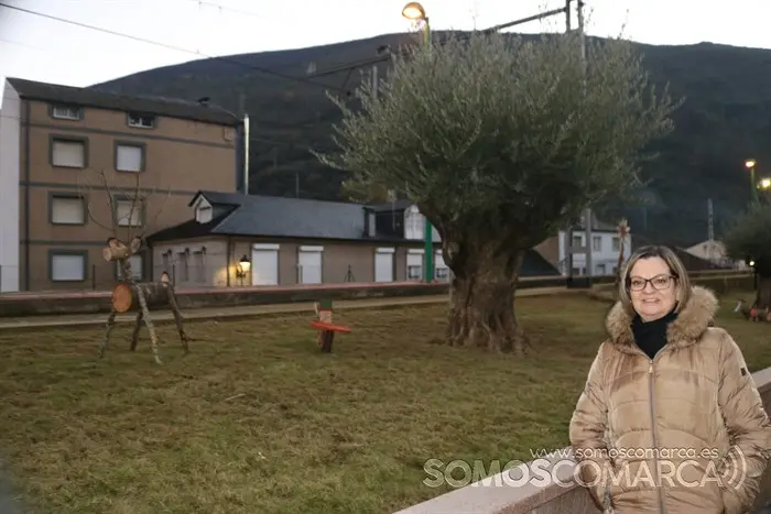 somoscomarca_sobradelo_jardintematico_figurasmadera_navidad_carballeda2022 (15)