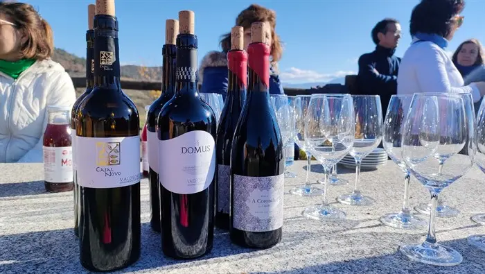 somoscomarca_rubia_andaina_vianova_catavinos_2022 (3)