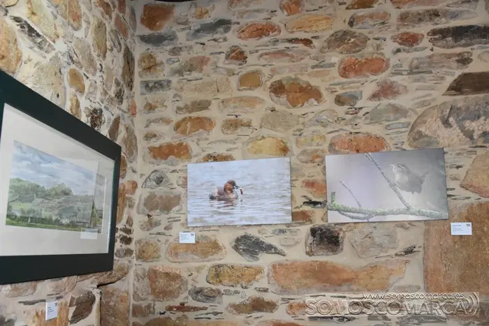 córgomo arte (9)