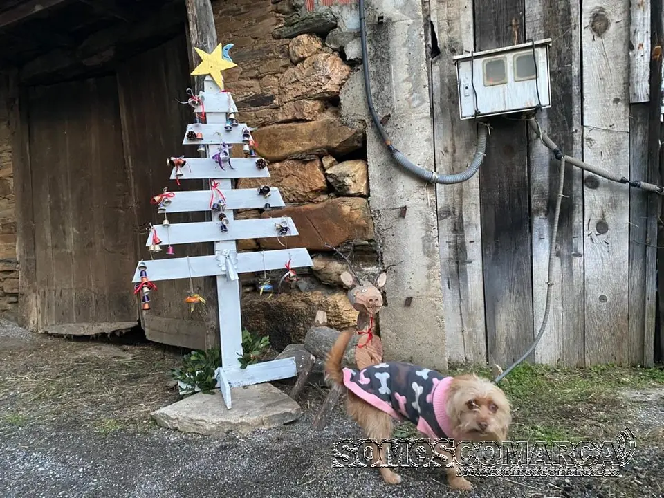 somoscomarca_navidad_portela_adornos_2022-12-11 (2)