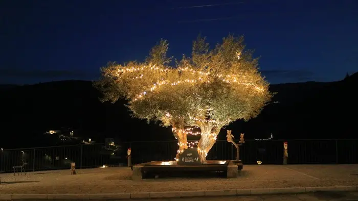 somoscomarca_sobradelo_navidad_adornos_luces_2022 (3)