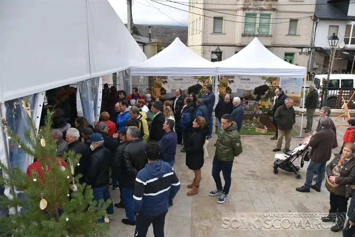 Feira montañas  trevinca_nadal enxebre_aveiga (107)