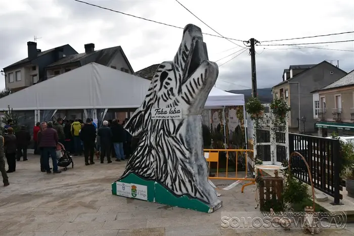Feira montañas  trevinca_nadal enxebre_aveiga (108)