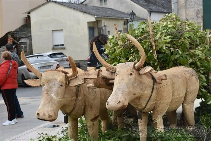 Feira montañas  trevinca_nadal enxebre_aveiga (42)