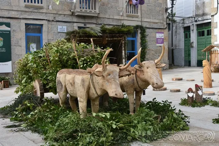 Feira montañas  trevinca_nadal enxebre_aveiga (29)