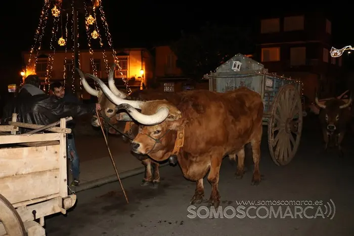 somoscomarca_petin_navidad_reyes_2022 (18)