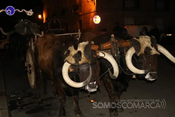 somoscomarca_petin_navidad_reyes_2022 (1)