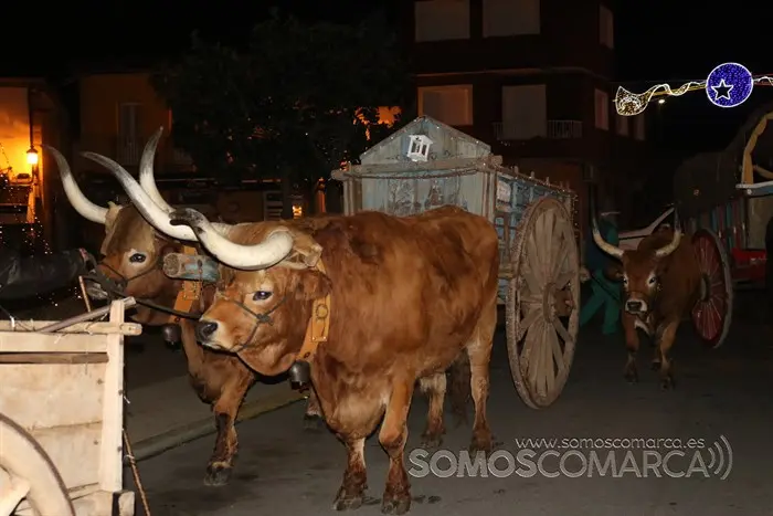 somoscomarca_petin_navidad_reyes_2022 (2)