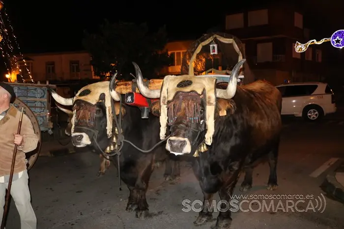 somoscomarca_petin_navidad_reyes_2022 (5)