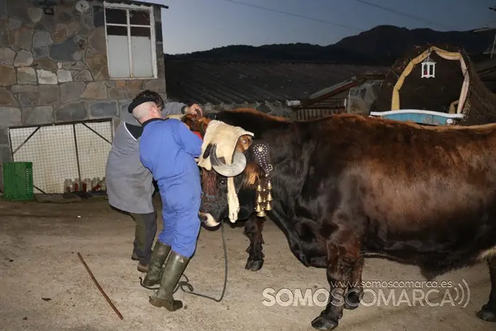 somoscomarca_petin_navidad_reyes_2022 (6)