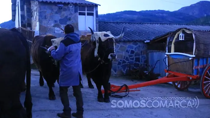 somoscomarca_petin_navidad_reyes_2022 (10)