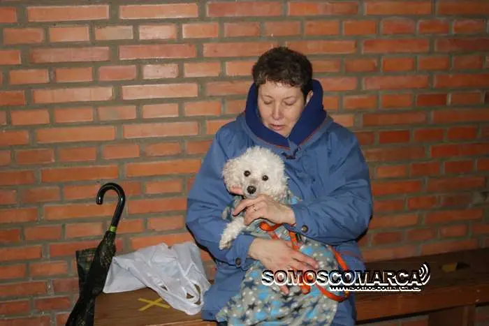 somoscomarca_obarco_bendicionmascotas_santarita (2)