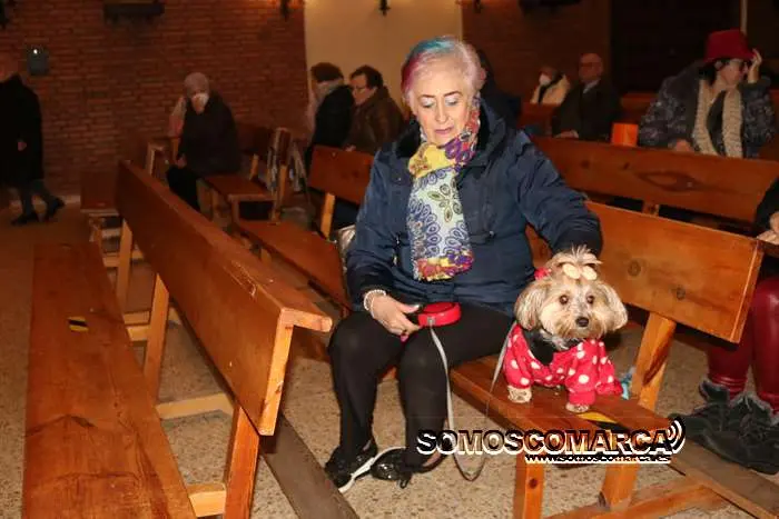 somoscomarca_obarco_bendicionmascotas_santarita (5)