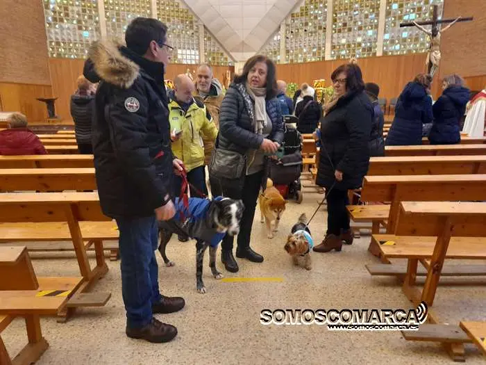 somoscomarca_obarco_bendicionmascotas_santarita (13)