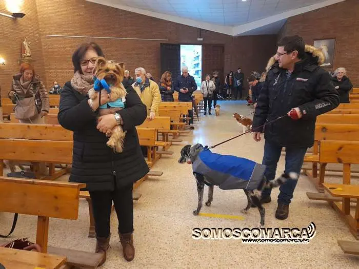 somoscomarca_obarco_bendicionmascotas_santarita (14)