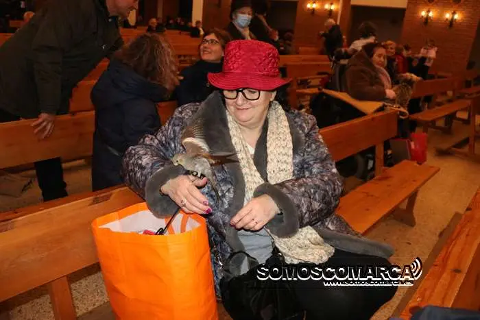 somoscomarca_obarco_bendicionmascotas_santarita (20)