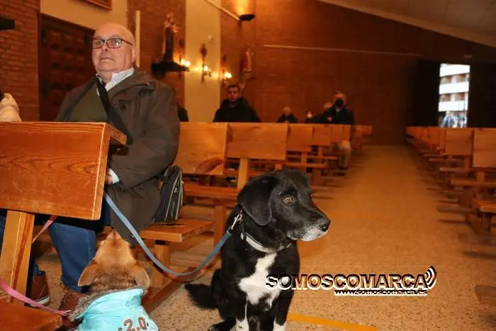 somoscomarca_obarco_bendicionmascotas_santarita (22)