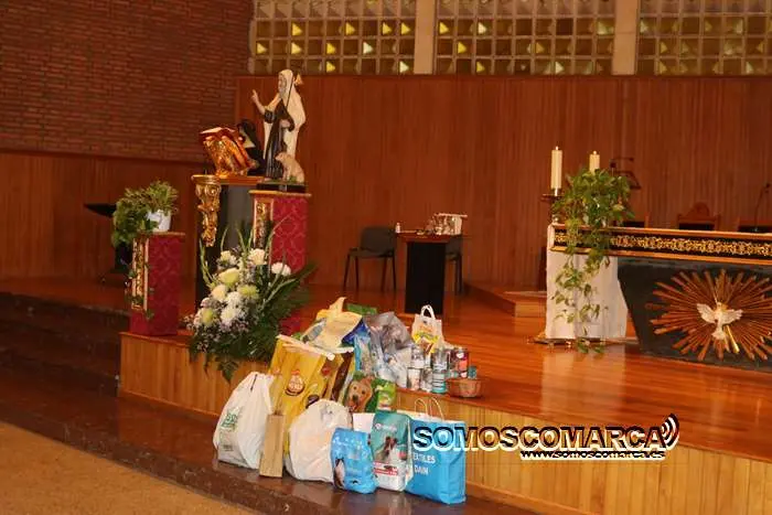 somoscomarca_obarco_bendicionmascotas_santarita (23)