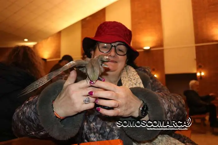 somoscomarca_obarco_bendicionmascotas_santarita (21)