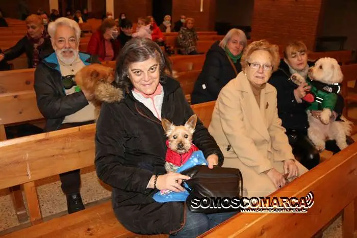 somoscomarca_obarco_bendicionmascotas_santarita (24)