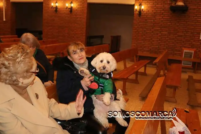 somoscomarca_obarco_bendicionmascotas_santarita (25)