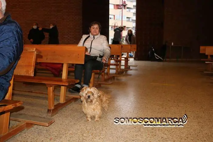 somoscomarca_obarco_bendicionmascotas_santarita (27)