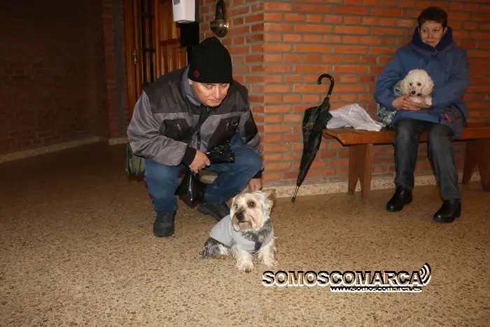 somoscomarca_obarco_bendicionmascotas_santarita (29)