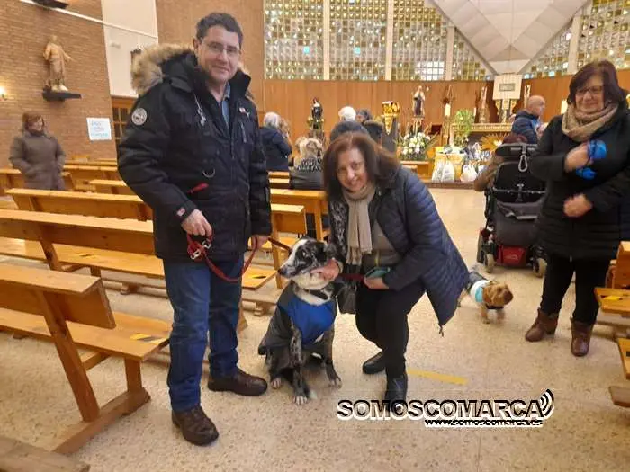 somoscomarca_obarco_bendicionmascotas_santarita