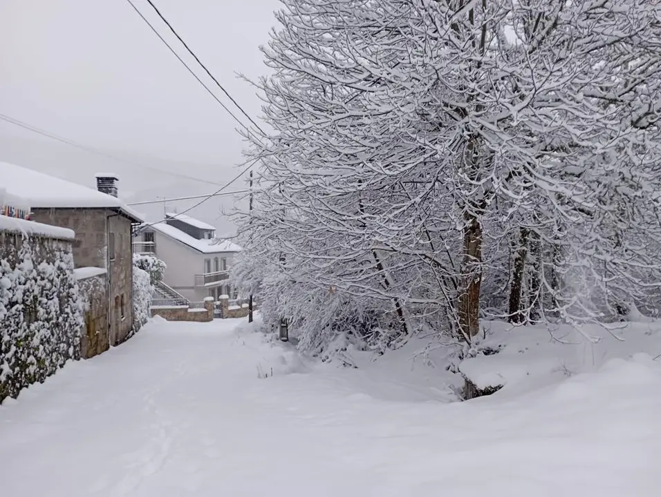 5ff02066-b767-422f-a275-dd9aa8d33d20