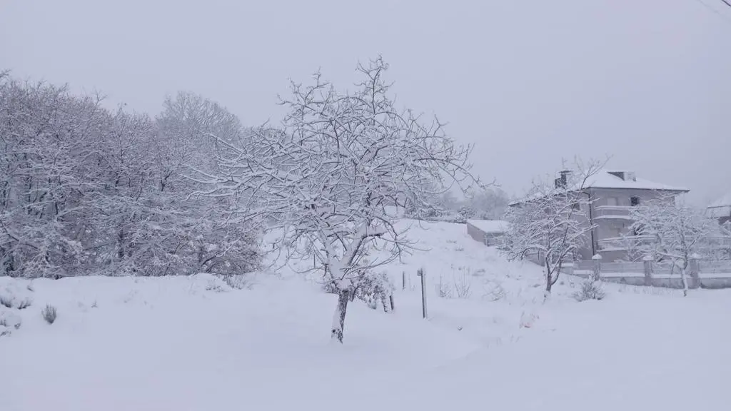 e194347e-5043-4b1f-903a-ddb4d54a38c8