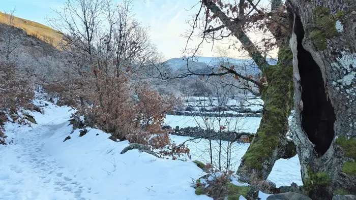 somoscomarca_terrasaltasdetrevinca_actividad_nieve_raquetasdenieve_2023 (6)