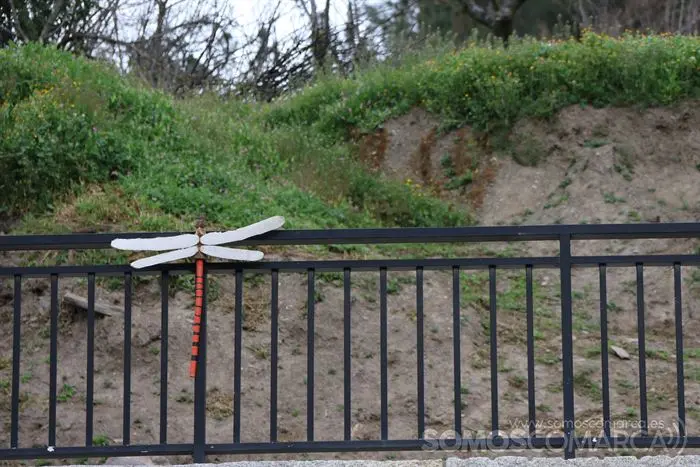 somoscomarca_sobradelo_jardintematico_primavera_maricarmengonzalez_2023_03_232023-4094 (10)