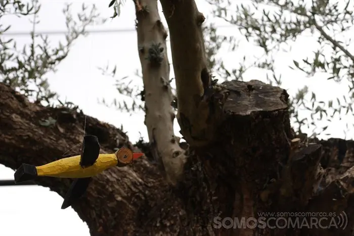 somoscomarca_sobradelo_jardintematico_primavera_maricarmengonzalez_2023_03_232023-4094 (17)