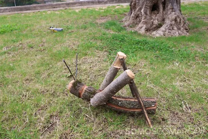 somoscomarca_sobradelo_jardintematico_primavera_maricarmengonzalez_2023_03_232023-4094 (21)