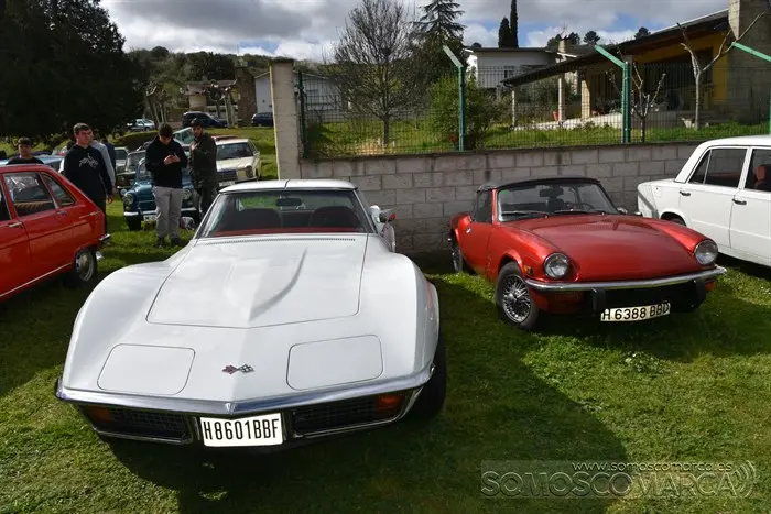 somoscomarca_petin_concentracion_cochesclasicos_2023 (31)