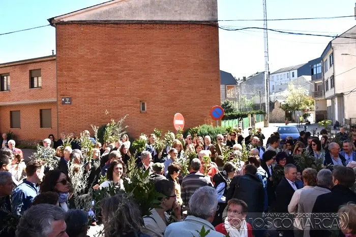 somoscomarca_obarco_santarita_semanasanta_domingoderamos_2023 (49)
