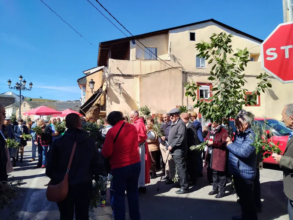 somoscomarca_semanasanta_petin_domingoderamos_2023 (9)