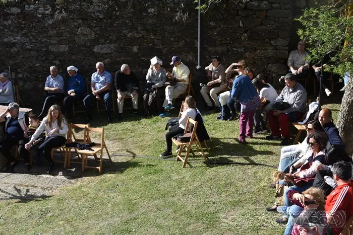somoscomarca_obolo_castillo_festivalmedieval_2023 (10)