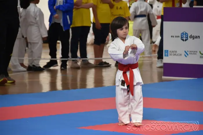somoscomarca_obarco_ligagalega_karate_pabellon_calabagueiros (14)