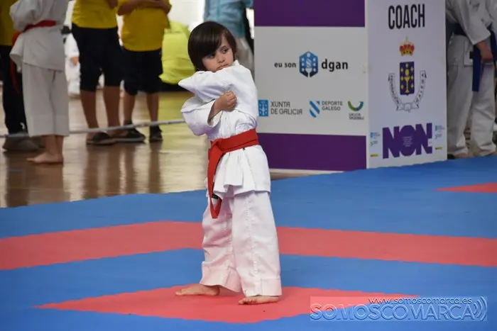 somoscomarca_obarco_ligagalega_karate_pabellon_calabagueiros (15)