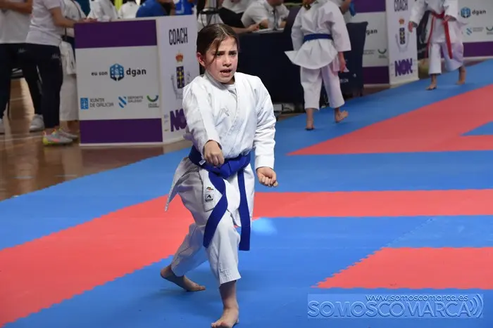 somoscomarca_obarco_ligagalega_karate_pabellon_calabagueiros (27)