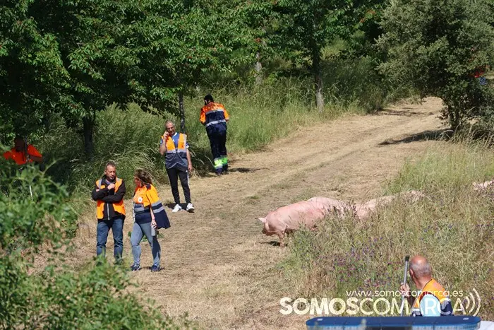 somoscomarca_vilamartin_accidente_n120_fallecidos_2023831 (23)
