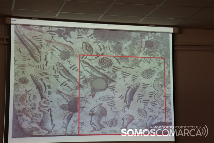 somoscomarca_arua_cosmelopez_ensino_mosaicoromano_20232023994 (7)