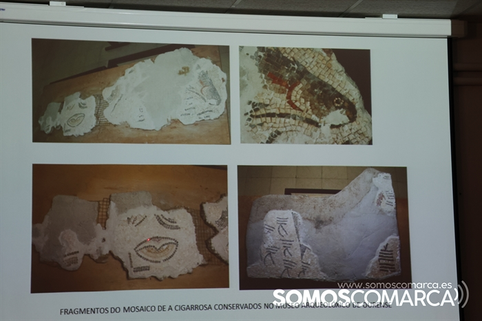 somoscomarca_arua_cosmelopez_ensino_mosaicoromano_20232023994 (8)