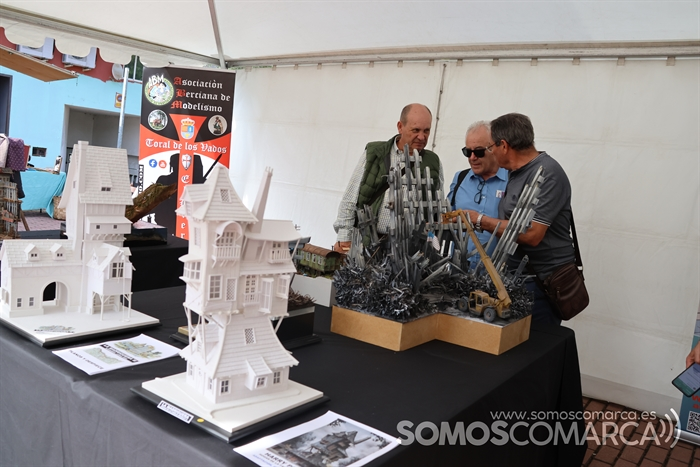 somoscomarca_toraldelosvados_toralentren_202320231021 (35)