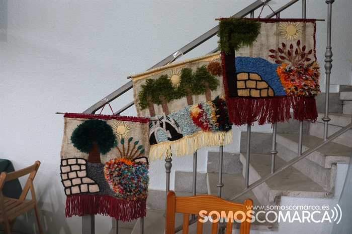 somoscomarca_biobra_romeria_padreeterno_2023 (18)