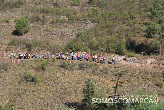 somoscomarca_20231241