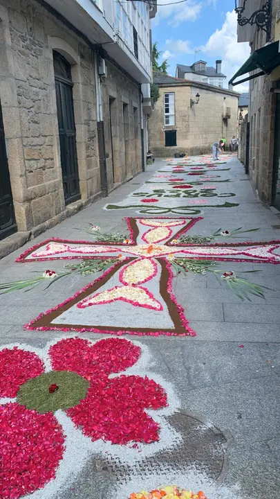 alfombras corpus Trives