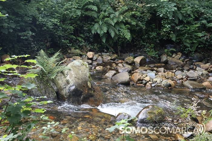 somoscomarca_arcos_andainasolidaria_cruzvermella_sendado riofarelos_202320231416 (66)